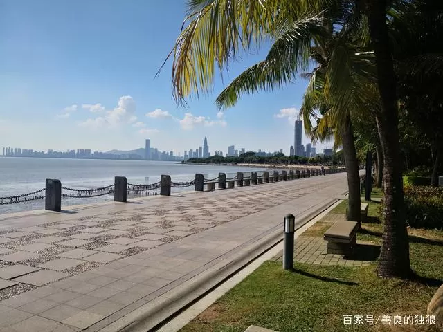 深圳旅游的景点(深圳旅游景点哪里好玩的地方)