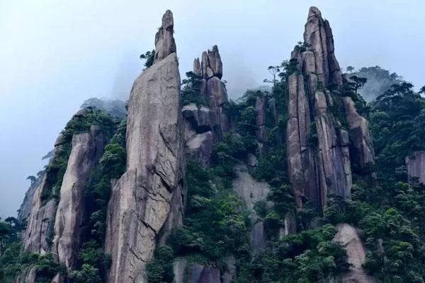 三清山景区门票多少钱(三清山景区门票多少钱一张)