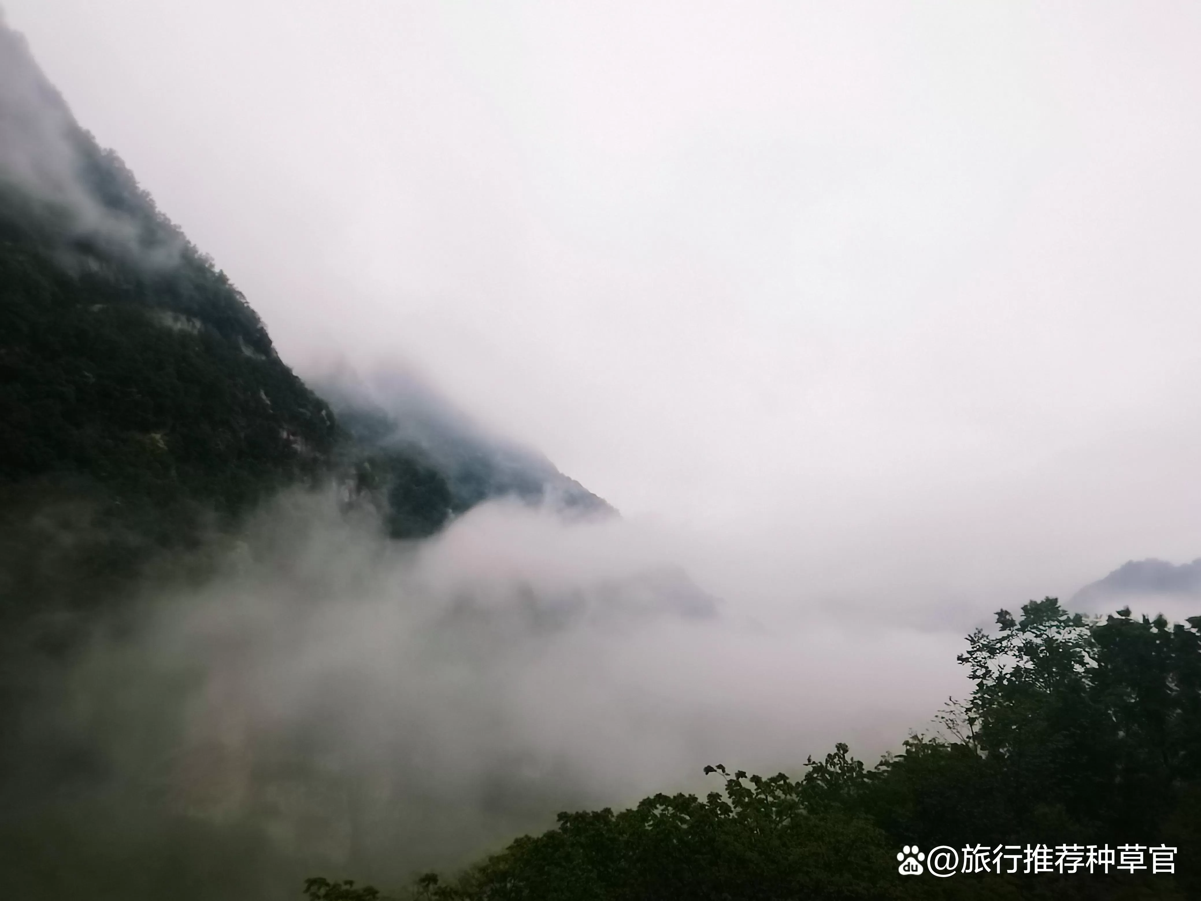 三清山旅游集团(三清山旅游集团曹新洪简历)