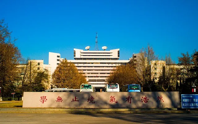 山东大学